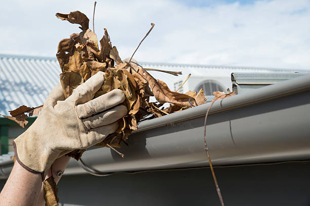 Seasonal Gutter Cleaning Services – Fall  Winter  & Spring Solutions